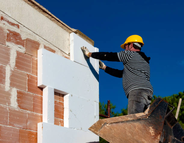 Best Local Insulation Services  in Laware City, DE